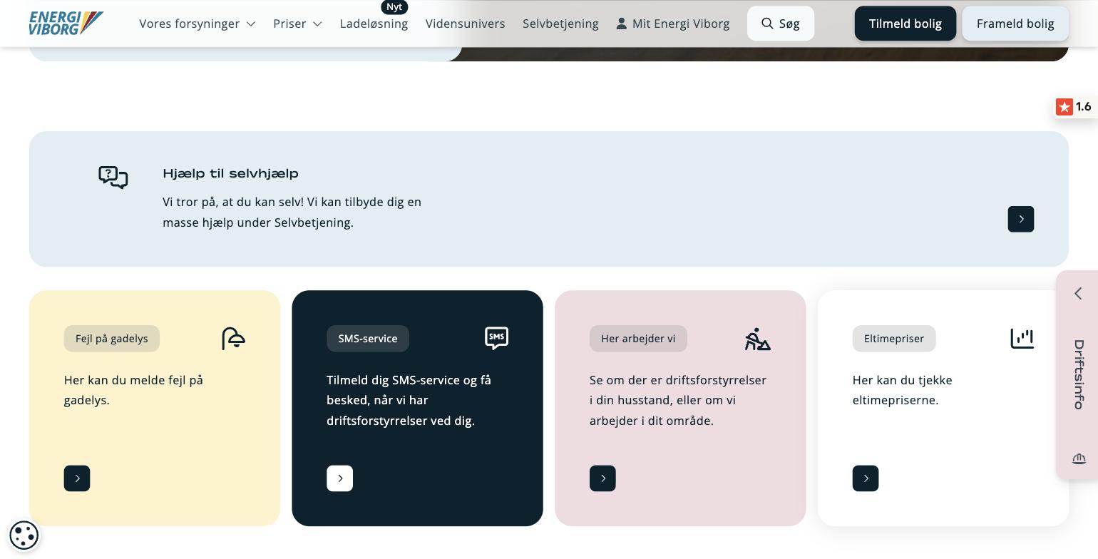 Skærmbillede af energiviborg.dk